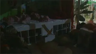 dilemme 2010 07 03 Jason Caroline fucking EDITED