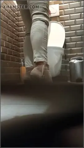 Spy toilet hidden