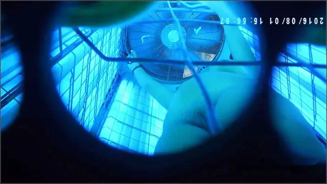 Tanning voyeur 4