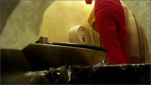 female toilet in a shopping centre 1