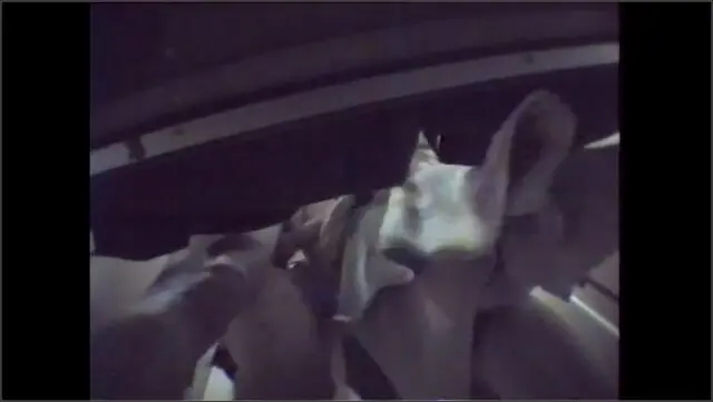 Beach Cabin Sex comp 3