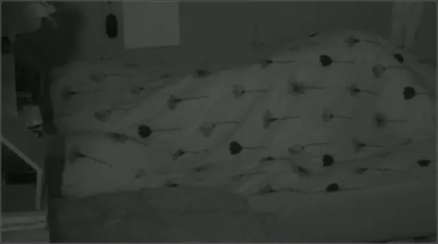 Gerrit Shelley mainly Utopia Dec 03 2018