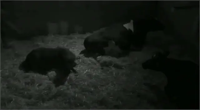 Romy Cemal April 23 round2 Utopia