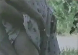 Parksex – Groping Blowjob