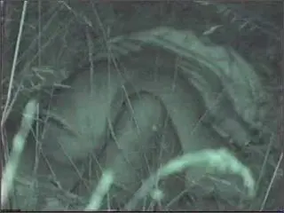 Parksex – Ride In The Night