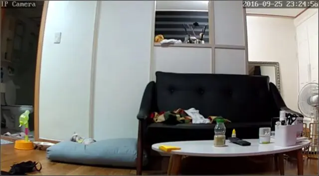 Korean Hacked Home Ip Webcam Favoyeurtube