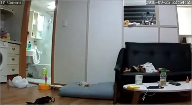 Korean Hacked Home Ip Webcam Favoyeurtube